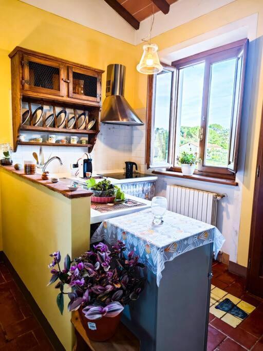 La Casa Nella Vigna Colline Del Vino Apartment Capannori Exterior photo