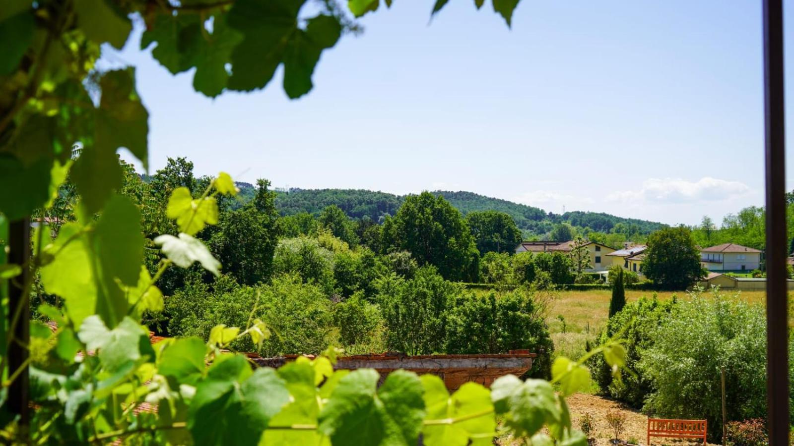 La Casa Nella Vigna Colline Del Vino Apartment Capannori Exterior photo